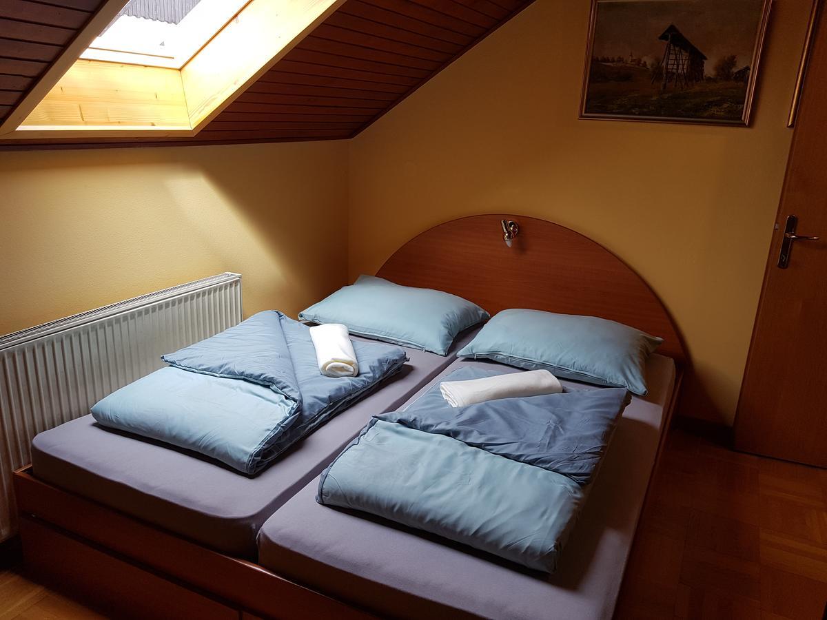 Apartment Manca Любляна Екстер'єр фото