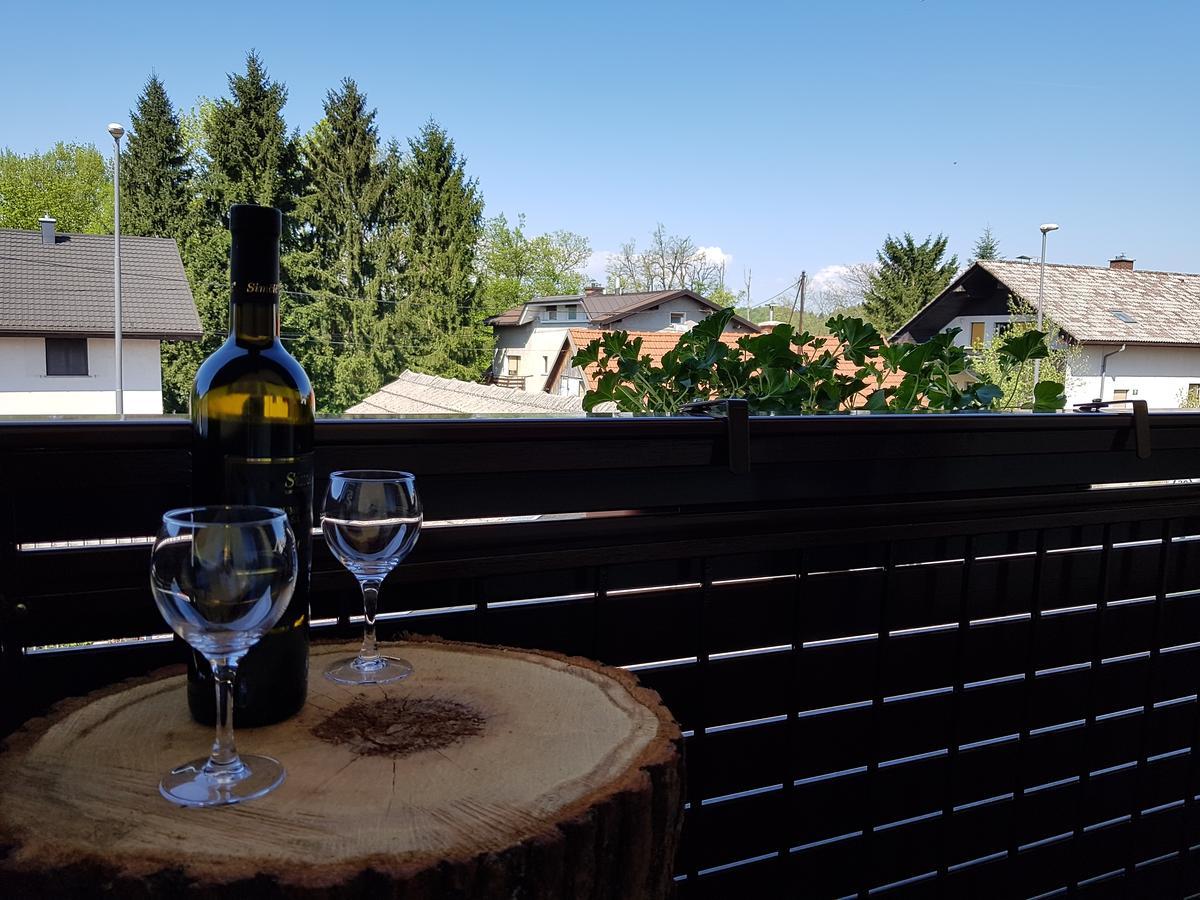 Apartment Manca Любляна Екстер'єр фото